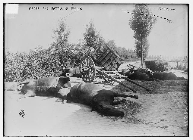 Dode paarden op het slagveld van Halen. Foto uit de Bain Collection, Library of Congress.