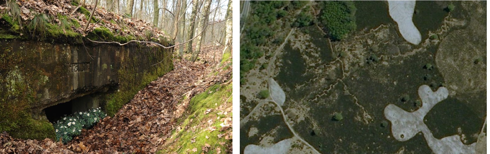 Loopgraven en bunkers in de Mechelse Heide.